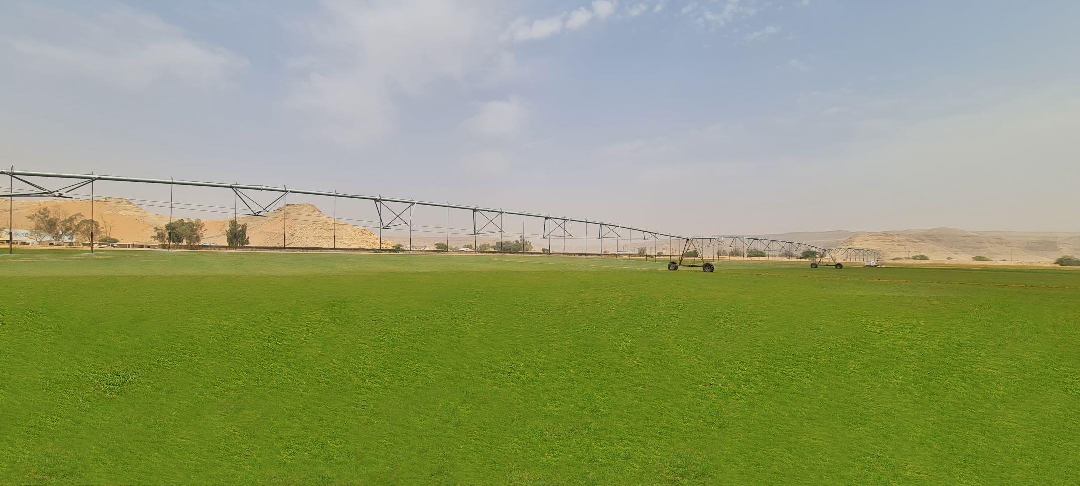 Atlas Turf Arabia is the first IGAP certified turf farm in Saudi Arabia. We produce sustainable turfgrass that is heat tolerant, thrives with TSE irrigation, and is durable for steady play. Our Paspalum turfgrass is suitable for golf, football, landscaping and infrastructure and has been used on multiple worldwide golf courses as well as the pitch for the World Cup in Qatar.